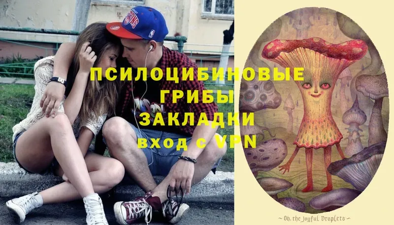 Галлюциногенные грибы Magic Shrooms Подольск